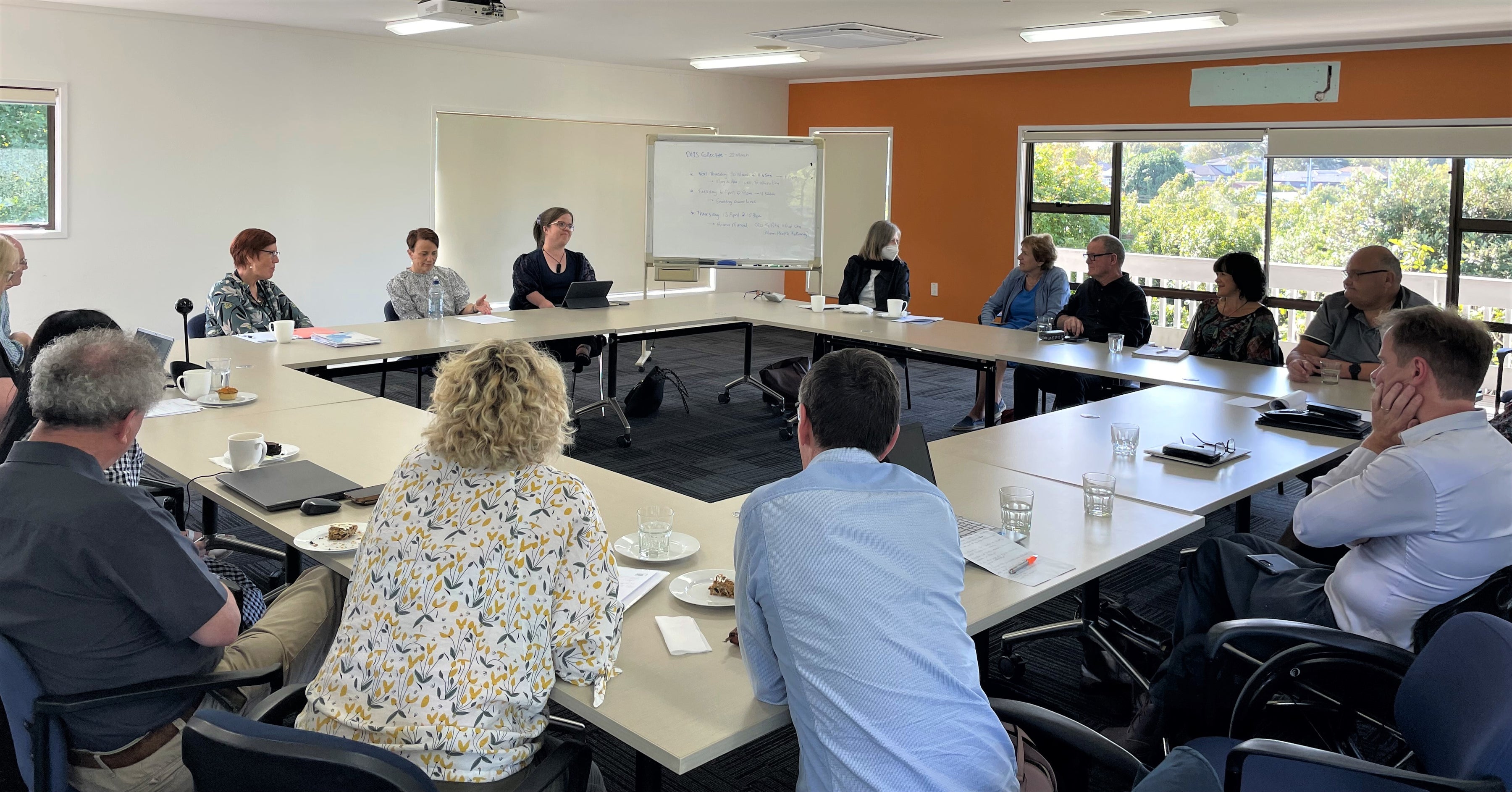 Paula Tesoriero, CEO Whaikaha/Ministry of Disabled People — Independent ...