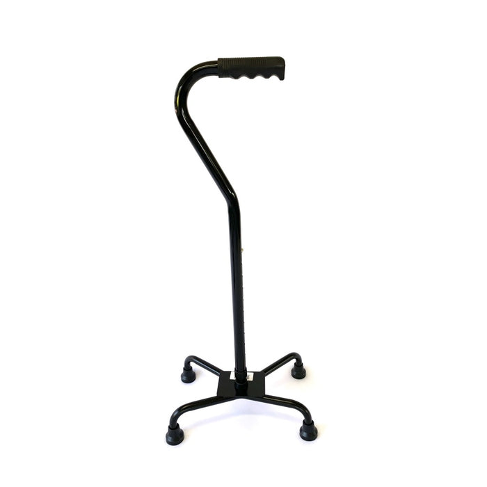 Quad Stick - Large Base Walking Sticks zest