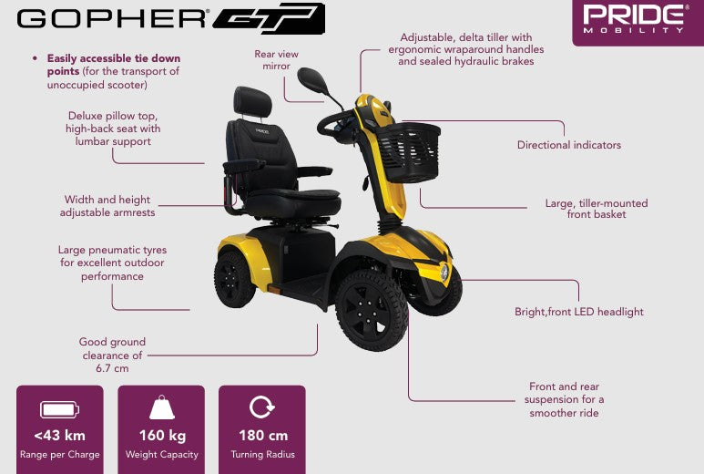 Pride Gopher GT