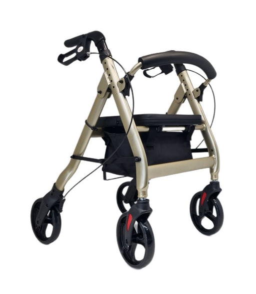 Medium Euro Style Walker Walkers zest