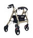 Medium Euro Style Walker Walkers zest