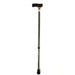 Walking Stick with T Handle Walking Sticks Not specified Mesh Black  