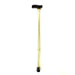 Walking Stick with T Handle Walking Sticks Not specified Mesh Gold  