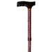 Walking Stick with T Handle Walking Sticks Not specified Mesh Red  